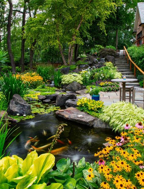 水池花草风水有哪些讲究？对家居环境好吗？