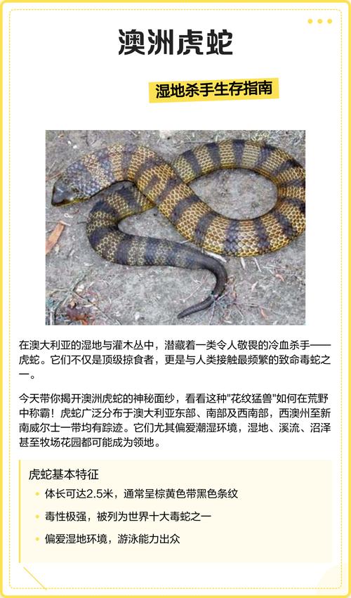 将虎蛇放在一起是否合适，对它们的生存环境有影响吗？