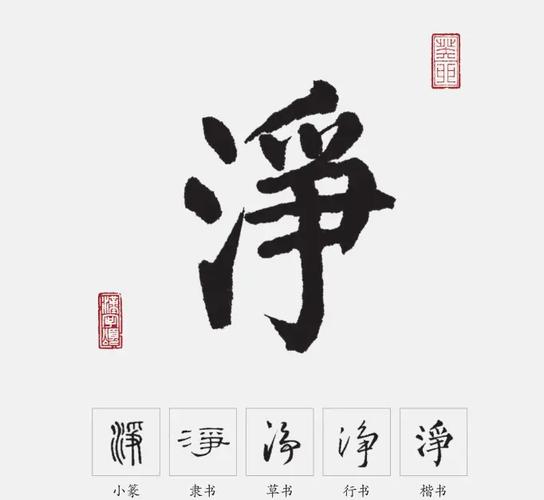 净字五行属什么，如何运用在女孩取名中体现风水和寓意？