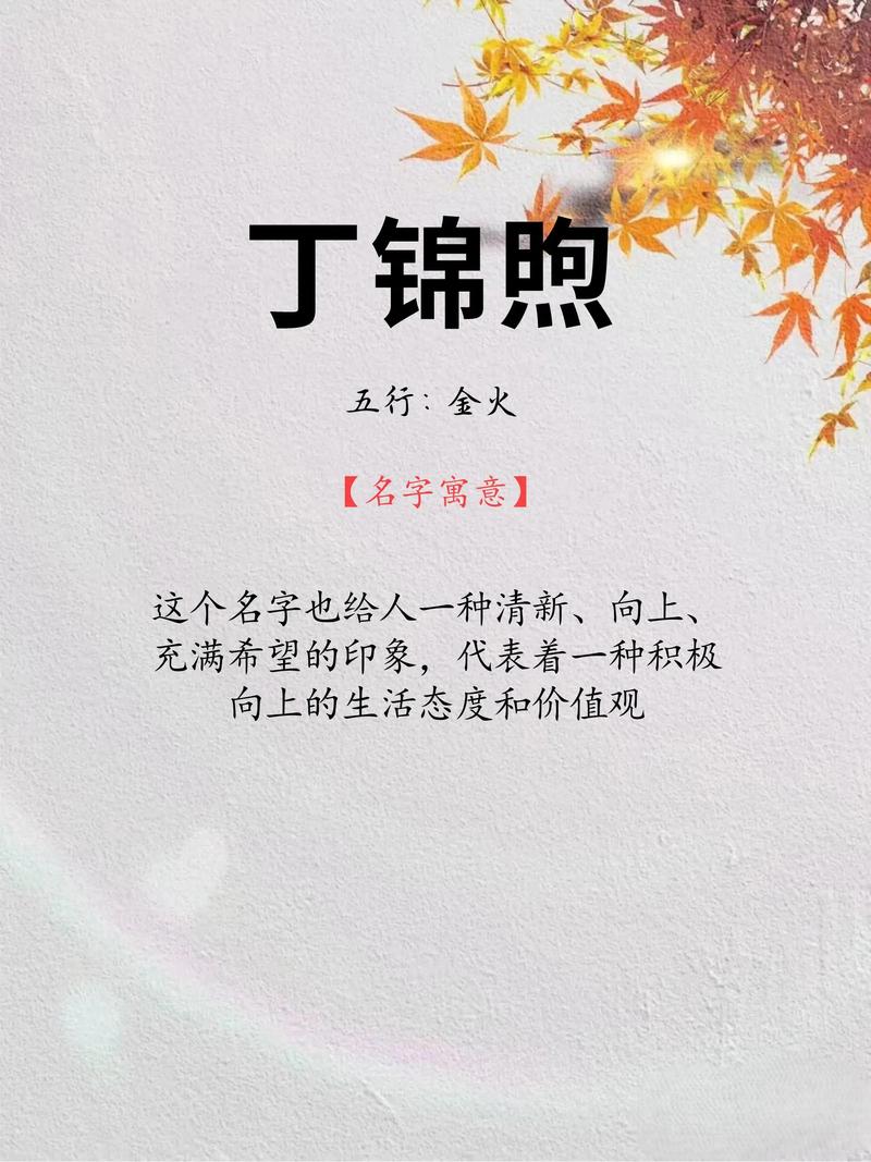 丁姓男宝宝取名时有没有什么独特优美的名字建议呢？