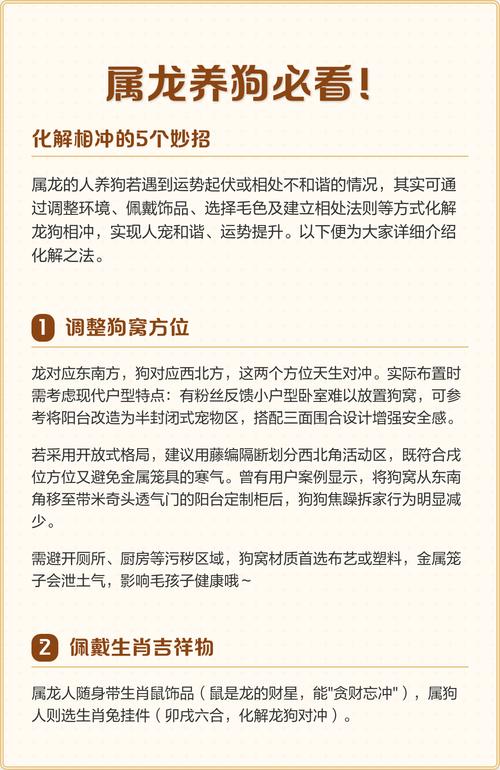 龙和狗的属相结合是否相配，嫩否组成和谐的家庭？
