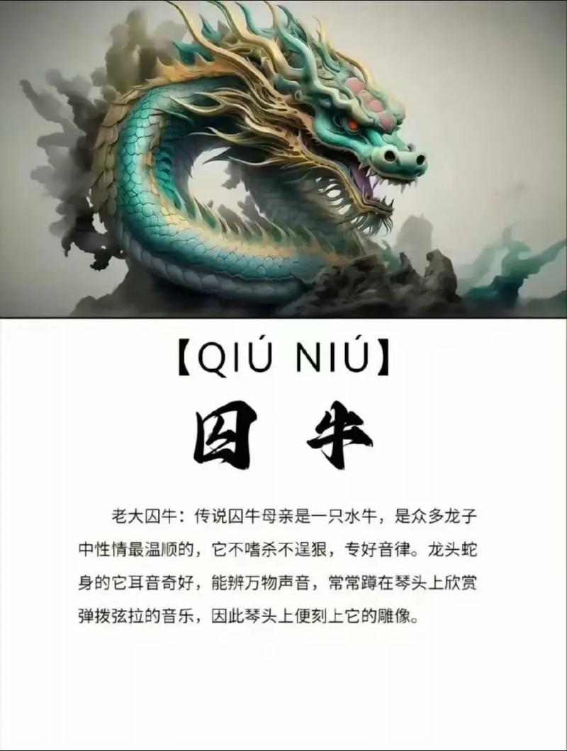 属龙姓什么命格的男性，他们的命运有何独特之处？