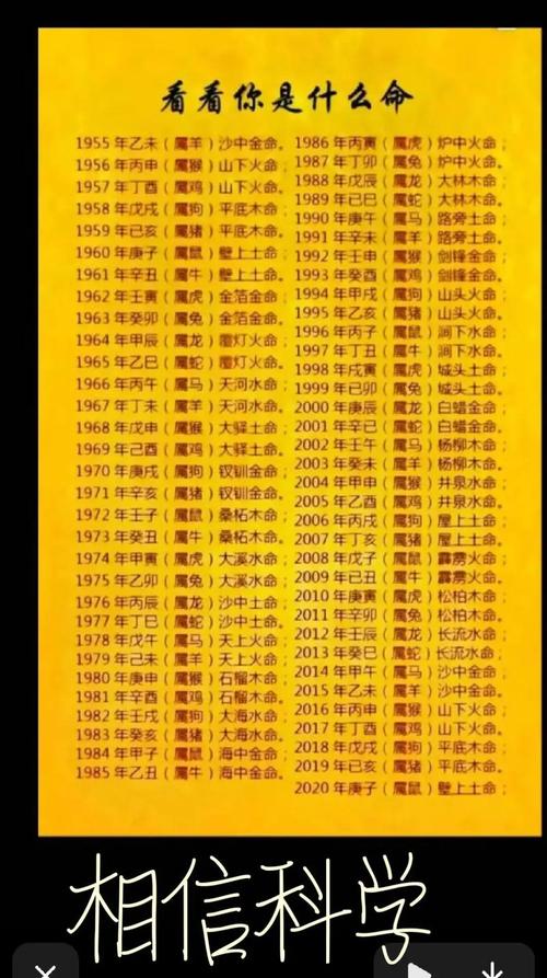 1997年出生的人是什么命？