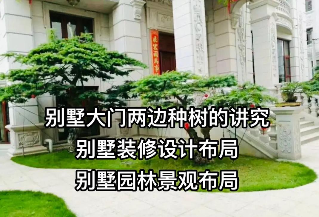 房顶植树的风水讲究有哪些具体细节需要注意？