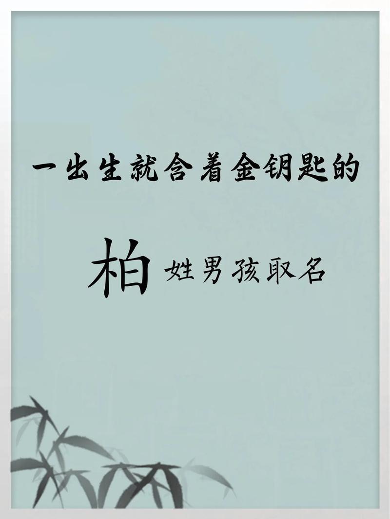 柏姓男孩起个朗朗上口的名字，有没有什么好听的？