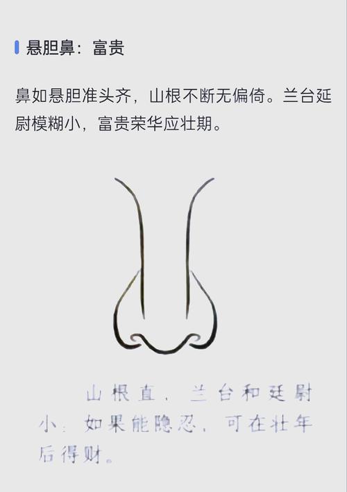 女人鼻梁有骨命，鼻梁骨突出面相如何？