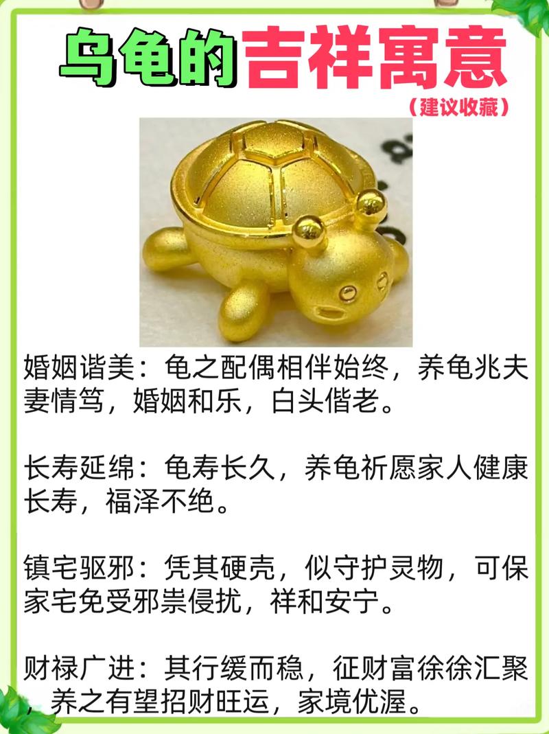 风水龟作为母龟，这样的说法可以吗？