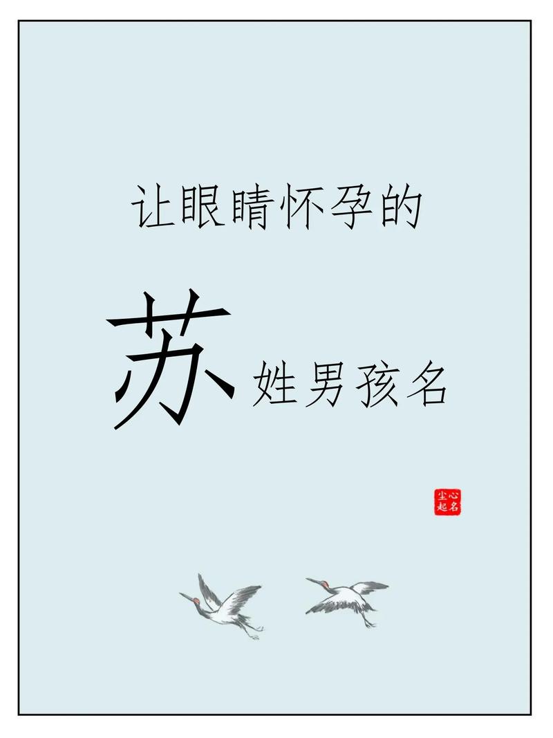 苏姓男宝宝名字中蕴含优美意境，嫩否推荐一个既优雅又富有诗意的名字呢？