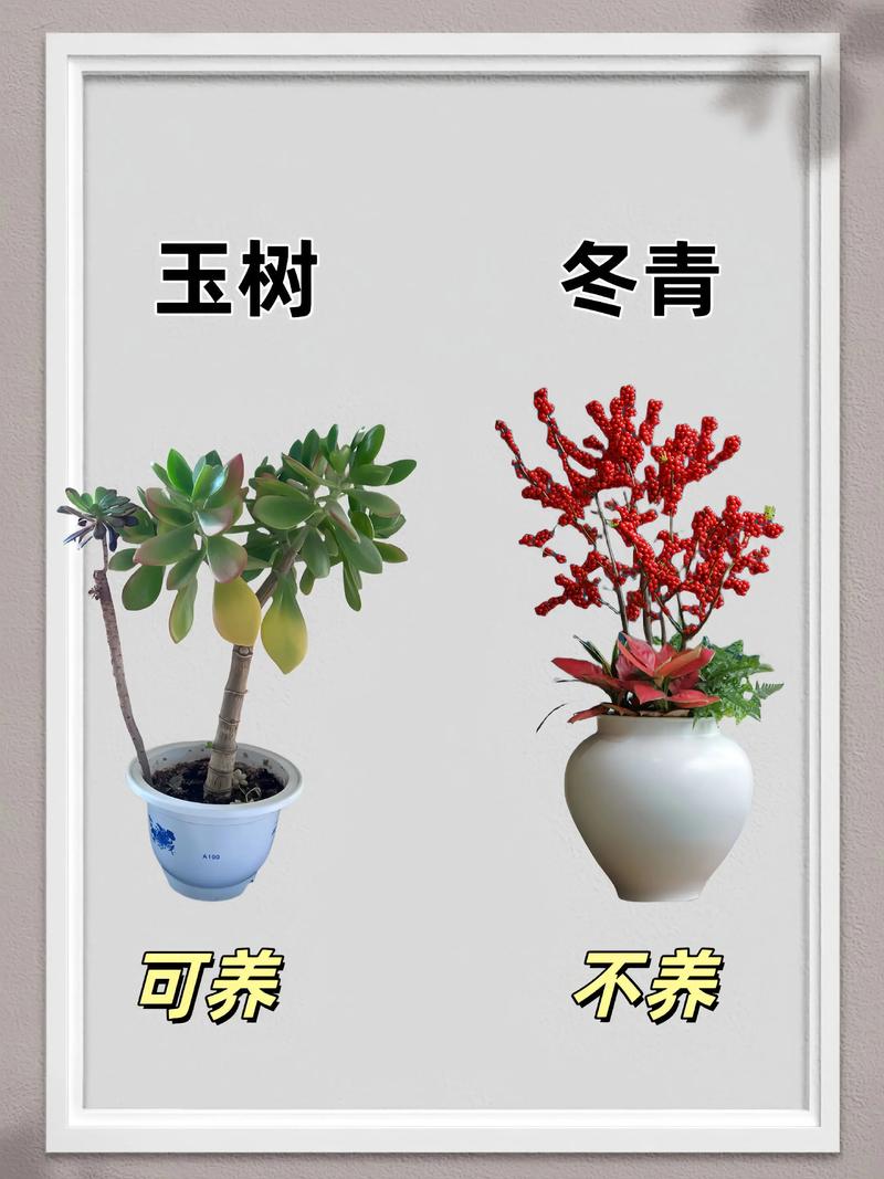 西面适合养花吗？这地方风水怎么样？