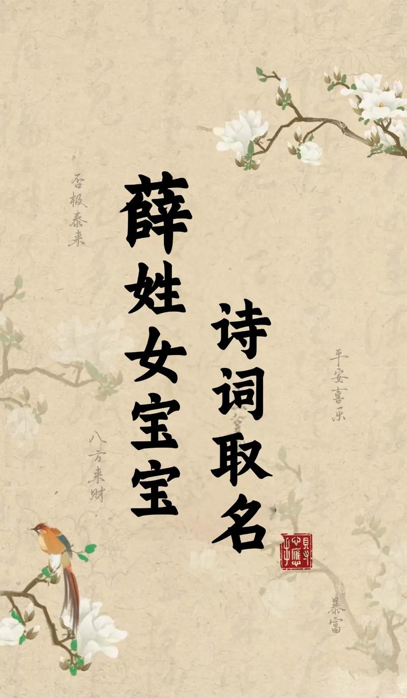 薛姓女孩大气文雅的名字有哪些？