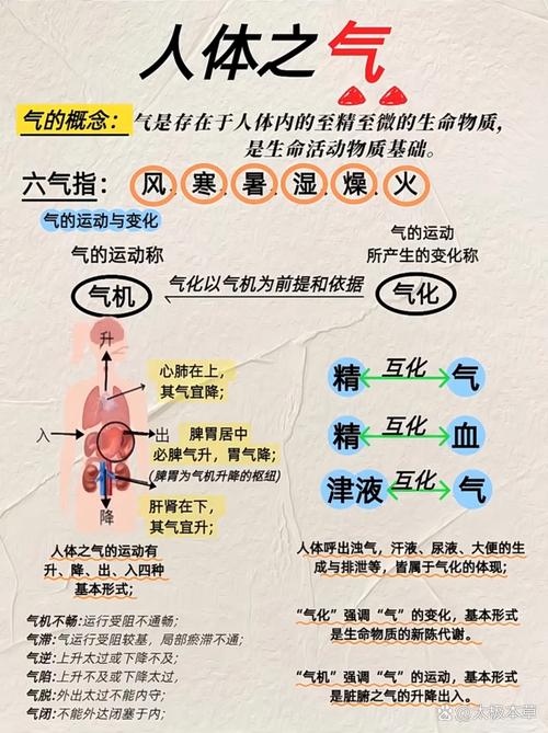人的阳气究竟是什么命之根本的基石？