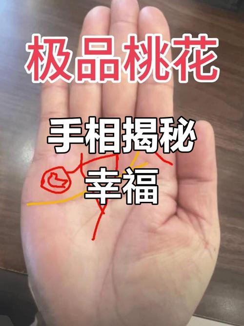 命占桃花手相，桃花超级旺的手相面相，如何为长尾关键词？