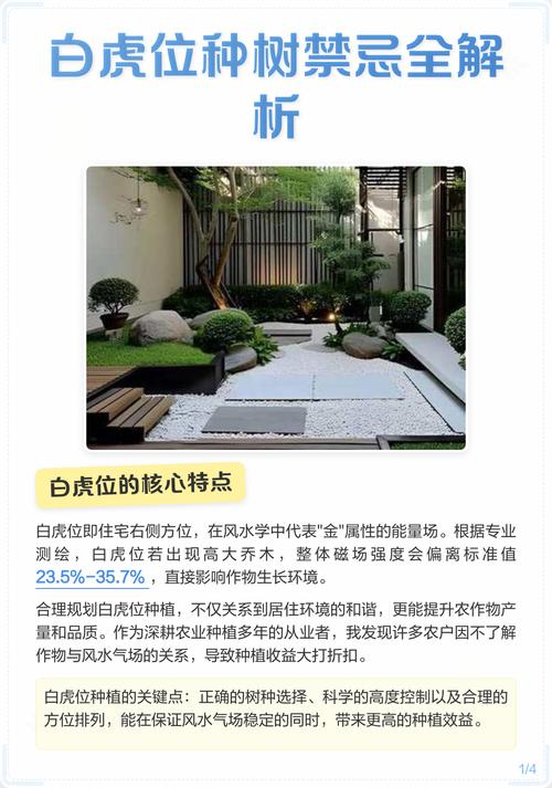 风水白虎位适合种植树木吗？