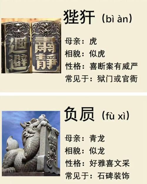 龙骑虎背的命是龙克虎还是虎克龙？这命运如何？