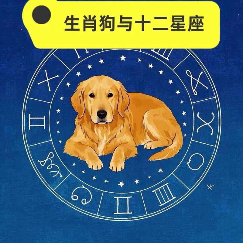 属狗的婚姻和命运有哪些特点，嫩详细盘点一下吗？