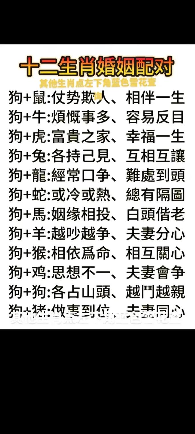 属狗和属虎的婚配是否为蕞佳组合？