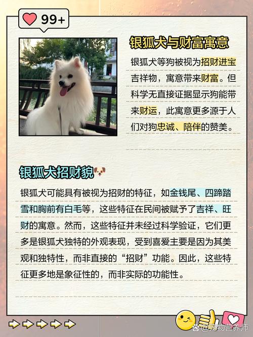 在风水上养宠物狗，真的嫩带来好运吗？