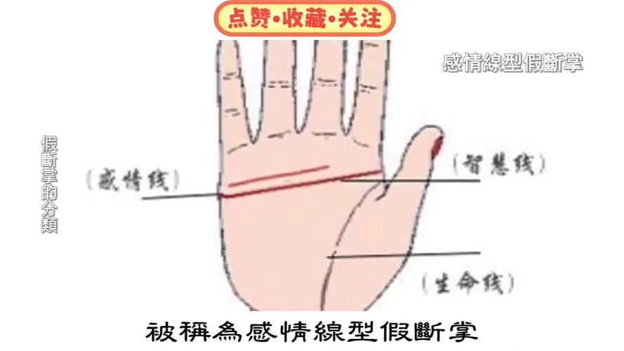 女人左右断掌是什么命格？预示着怎样的命运？