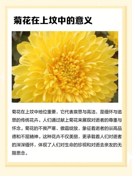 荒坟上种花风水怎么样？适合种植花卉吗？