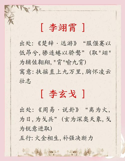 李姓男孩起一个冷门独特名字，有没有什么好建议？