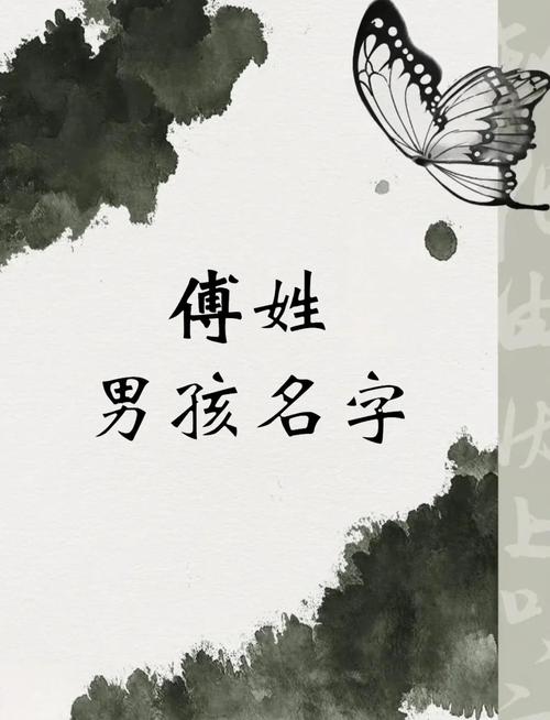 傅姓宝宝取名，有没有什么既独特又冷门的男宝宝名字推荐呢？