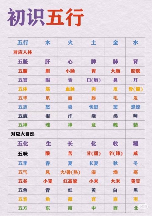 八字中土金较旺的人，如何调整命理布局以平衡五行？
