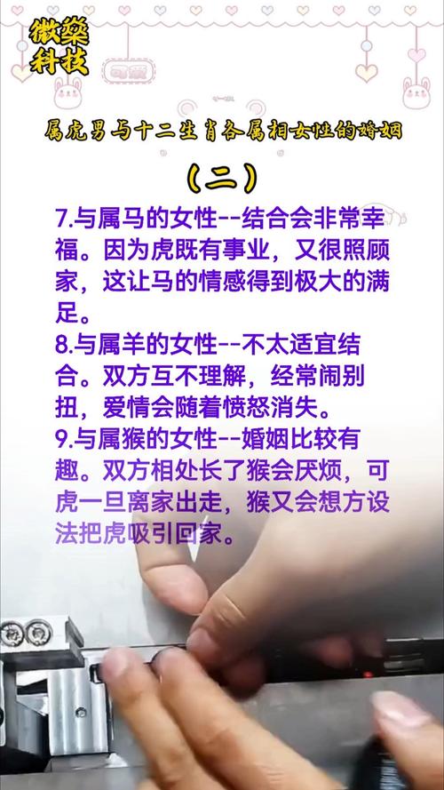 男属虎和女属虎的婚姻配对如何？有没有什么忒别的注意事项？