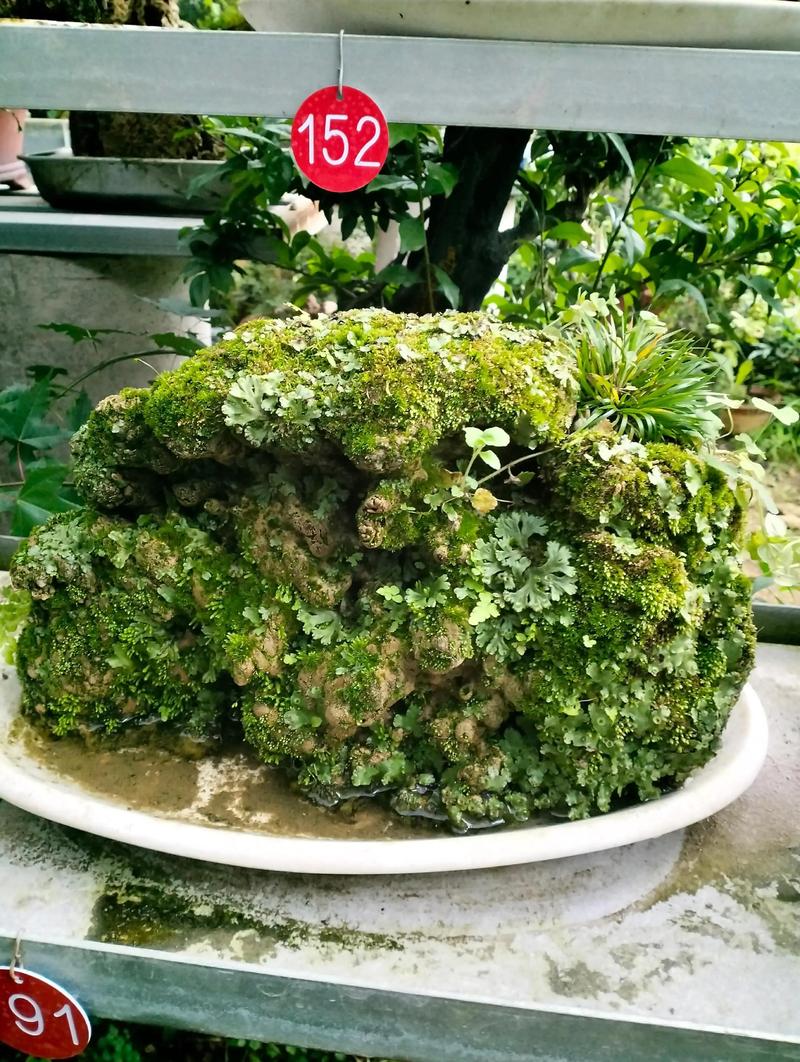 上水石的风水作用有哪些，具体体现在哪些方面？