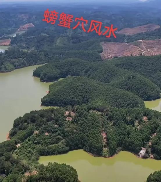 这处螃蟹风水地，难道是传说中的地龙宝地吗？