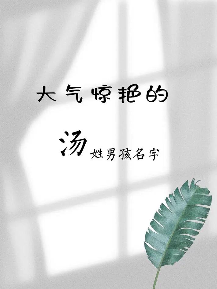 姓汤的男孩取个吉利名字，有没有什么好建议呢？