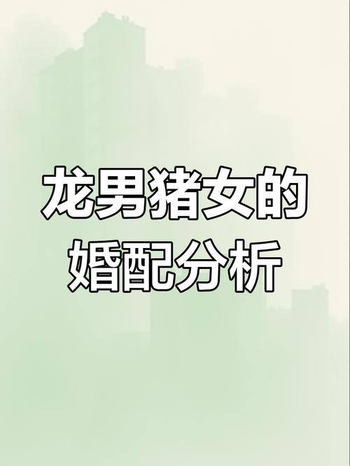 属龙和属猪的婚配是否合适？
