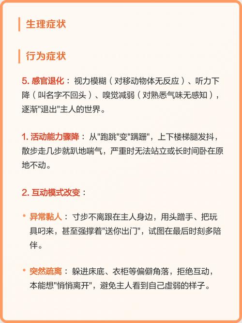 临终前会出现哪些具体症状？