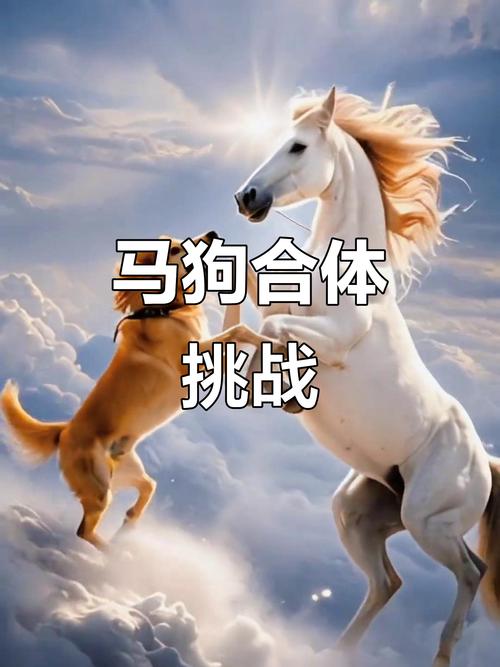 属马和属狗的相配吗？这真的是传说中的天作之合吗？