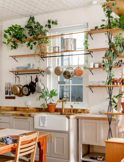 在厨房摆放绿植会对家中的风水产生怎样的影响呢？