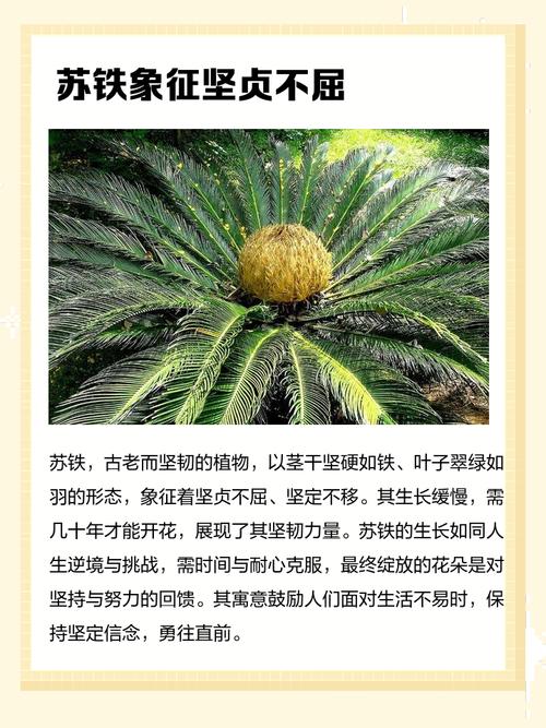 家里摆放铁块会对风水产生怎样的影响呢？