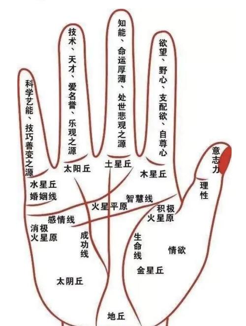 手掌横纹代表什么命运，手是横纹女人命运如何？