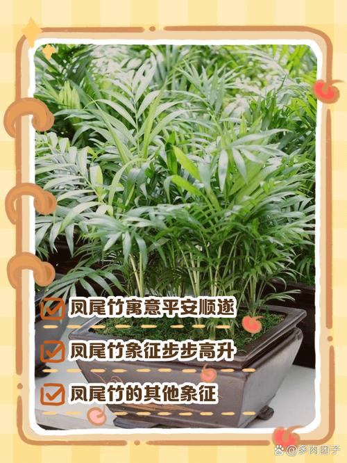 竹子对风水有何具体影响？