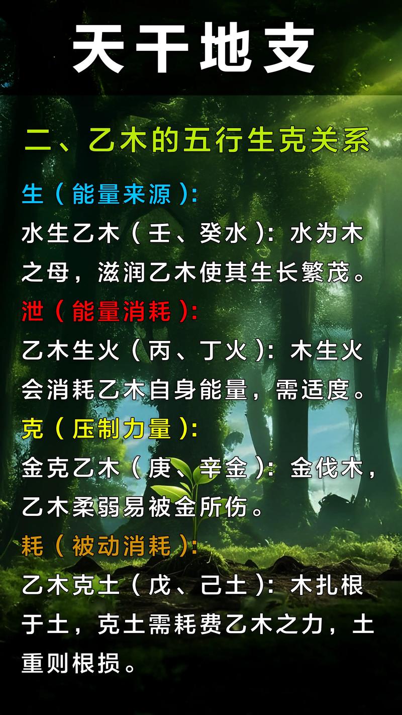 八字命理中乙木入命代表什么含义？