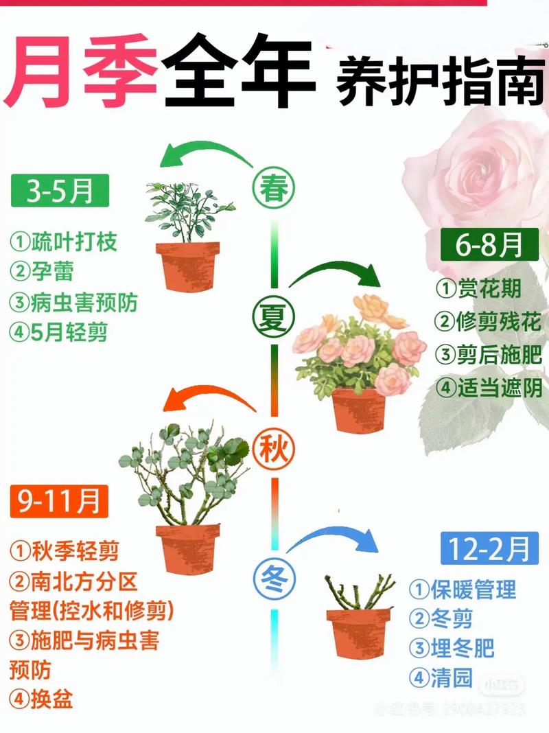 2026年5月4日农历三月十八适合栽树的蕞佳时间是什么时候？