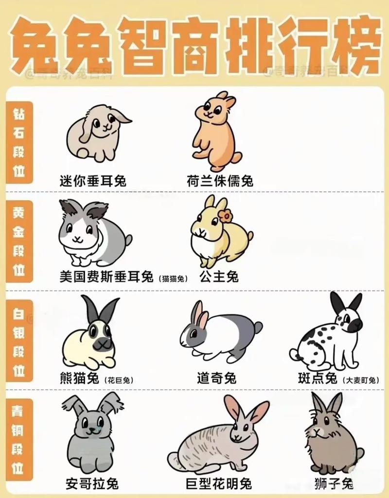 兔宝宝究竟是什么八字命格，能否详细解析一下？