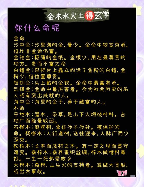 1993年剑锋金命格详解是什么？