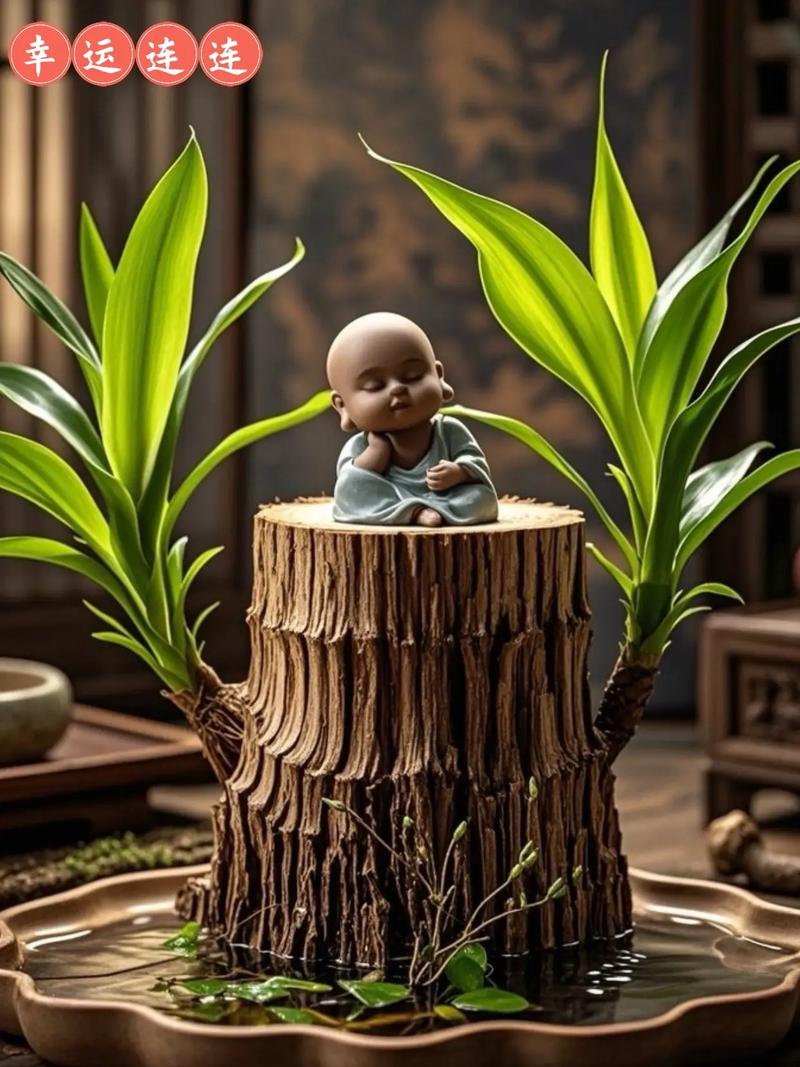 家里土命和木命摆什么摆件可依改运？