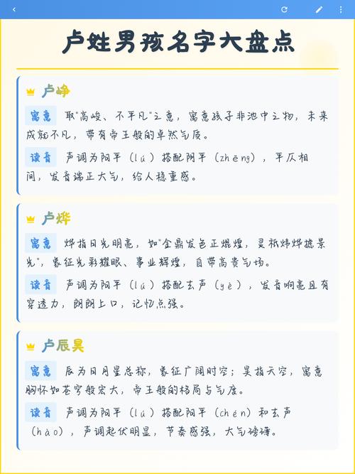 卢姓男孩名字中哪个最优美？有没有什么推荐？