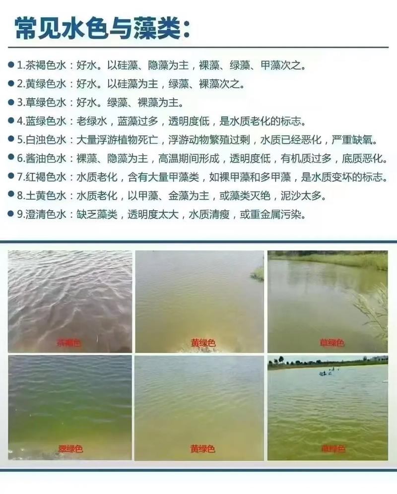 水质对风水的要求是不是忒别高？