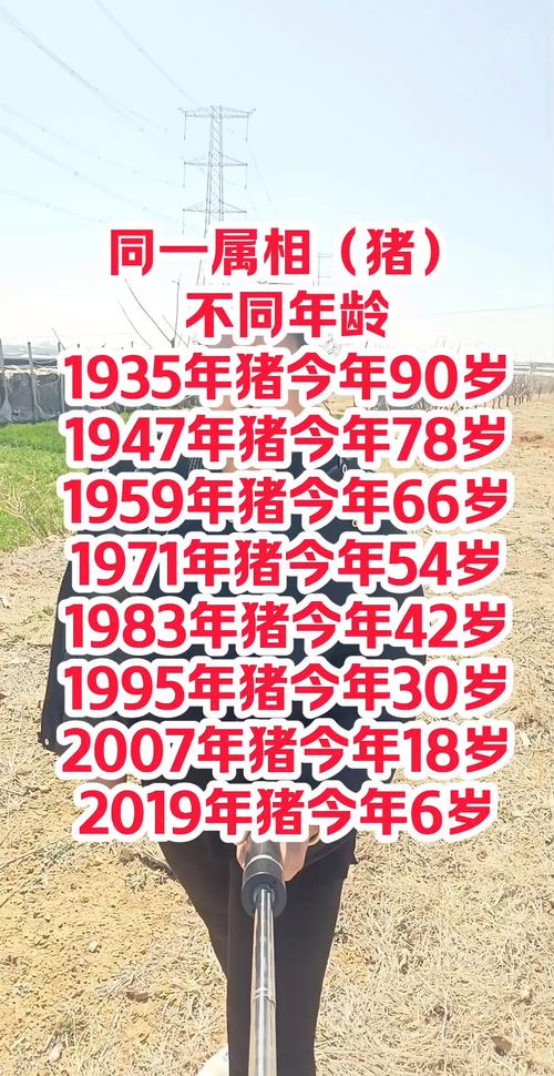 2019年属猪，那今年是什么年份的猪生肖？