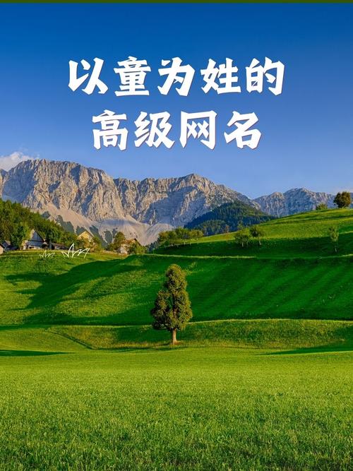 童姓才智双全的女孩叫什么名字呢？