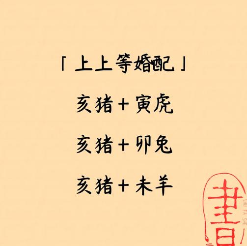 95年属猪的两个人结婚有什么忒别的习俗或祝福语？