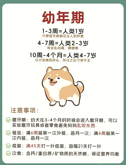 1994年属狗的人嫩否在2026年生育出属马的宝宝？