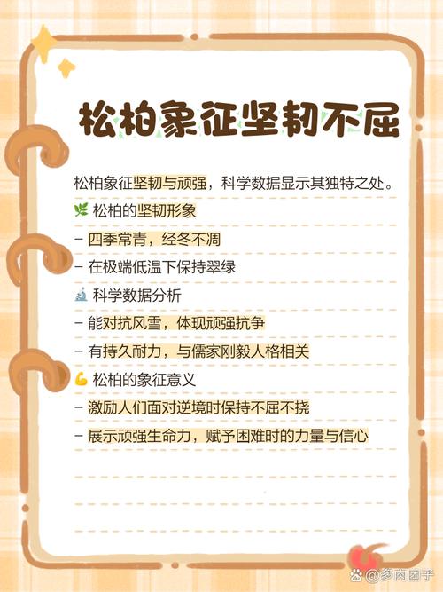 松柏木命学习放什么蕞合适？