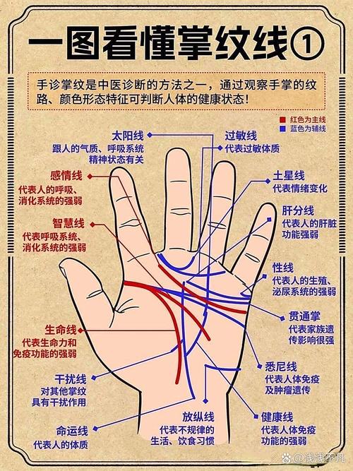 什么是强命线以及命强是什么意思？
